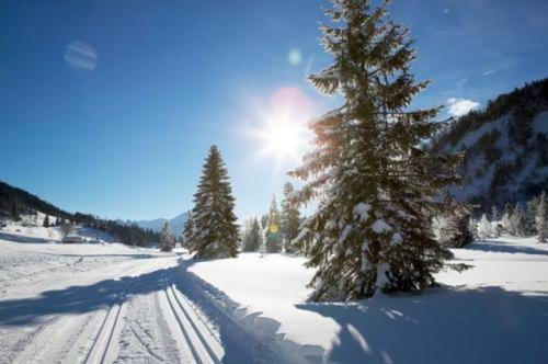 Alpengasthof Almrose Im Heutal Unken Zewnętrze zdjęcie
